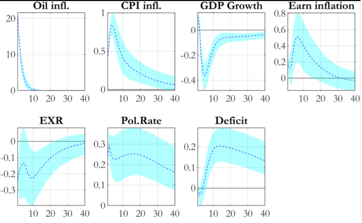 Multi-panel chart showing oil shock effects on CPI, GDP growth, earnings inflation, exchange rates, policy rates, and deficits.